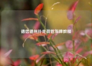 德信德州扑克荷管发牌教程