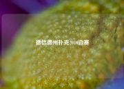 德信德州扑克2016边赛