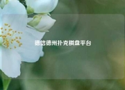 德信德州扑克棋盘平台
