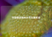 中国德信德州扑克比赛奖金