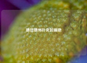 德信德州扑克起源地