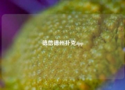 德信德州扑克app