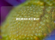 德信德州扑克比赛APP