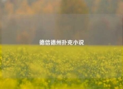 德信德州扑克小说