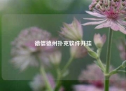 德信德州扑克软件开挂