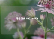 德信德州扑克mtt教学
