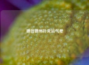 德信德州扑克运气差