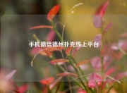 手机德信德州扑克线上平台