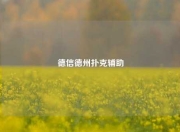 德信德州扑克辅助
