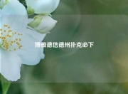 博雅德信德州扑克必下