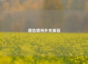 德信德州扑克偷盲