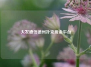 大发德信德州扑克现金平台