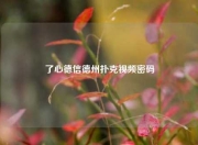 了心德信德州扑克视频密码