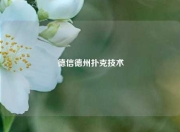 德信德州扑克技术