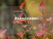德信德州扑克底牌排行