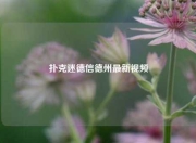 扑克迷德信德州最新视频