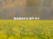 德信德州扑克 葫芦 对子