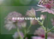 德信德州扑克短牌什么意思