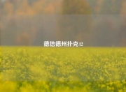 德信德州扑克42