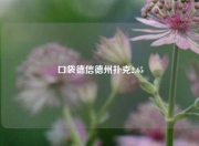 口袋德信德州扑克2.65