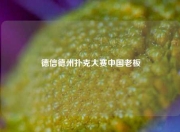 德信德州扑克大赛中国老板