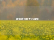 德信德州扑克124级别