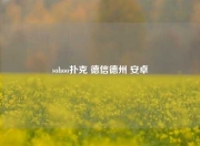 sohoo扑克 德信德州 安卓