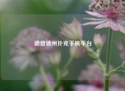 德信德州扑克手机平台