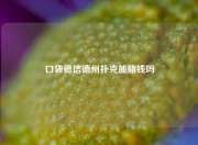 口袋德信德州扑克能赌钱吗
