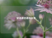 安卓德信德州扑克