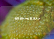 德信德州扑克 比牌大小