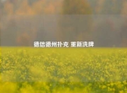 德信德州扑克 重新洗牌