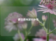 德信德州派对扑克