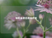 加菲盐德信德州扑克