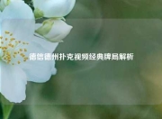 德信德州扑克视频经典牌局解析