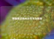 博雅德信德州扑克华为新版