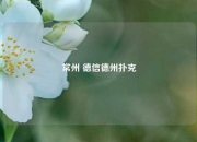常州 德信德州扑克