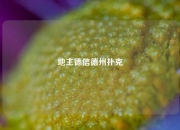 地主德信德州扑克
