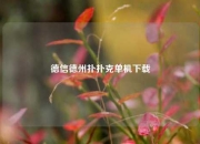 德信德州扑扑克单机下载