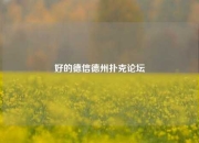 好的德信德州扑克论坛