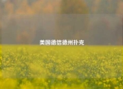 美国德信德州扑克