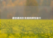德信德州扑克相同牌型谁大