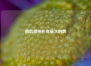 德信德州扑克最大的牌