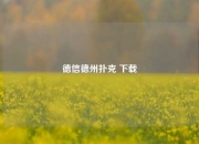 德信德州扑克 下载