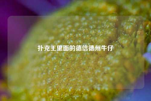 扑克王里面的德信德州牛仔