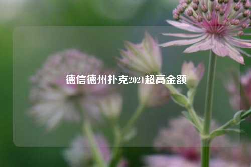 德信德州扑克2021超高金额