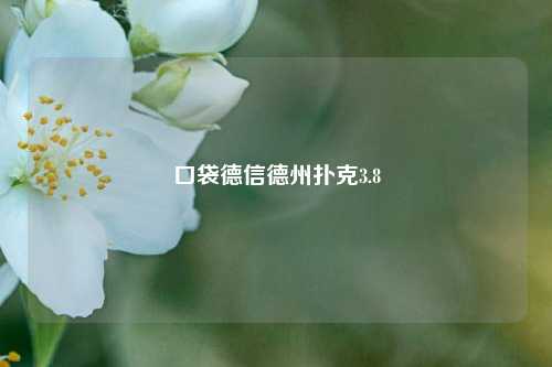 口袋德信德州扑克3.8