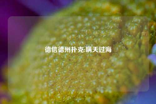 德信德州扑克:瞒天过海