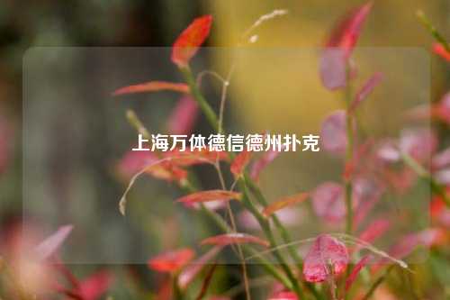上海万体德信德州扑克
