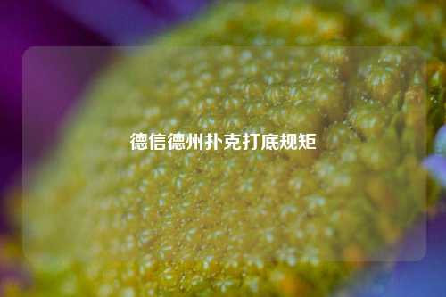 德信德州扑克打底规矩